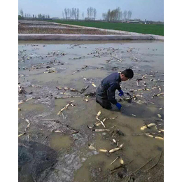 佳诺工程材料|防渗土工膜|水库防渗土工膜厂家