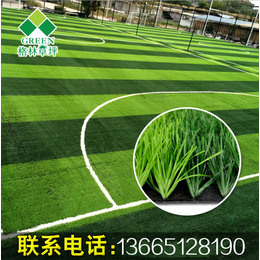 人造草坪 M型带茎三色草 人工草坪 足球场地施工缩略图