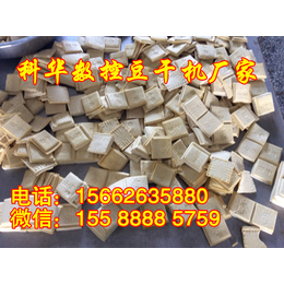 大型数控豆干机器厂家|榆林豆腐干机|香干生产线