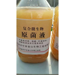 调节土壤微生物菌复合微生物源菌液