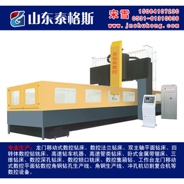 莱芜数控钻|泰格斯|数控钻铣床 小型