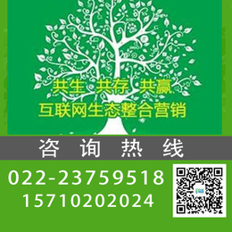 网站优化公司_张家口网站优化_天津易客开发设计(查看)