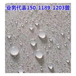 水池DPS永凝液_DPS永凝液_天坝防水