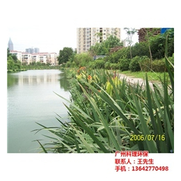 广州印染废水处理、科理环保科技、印染废水处理报价