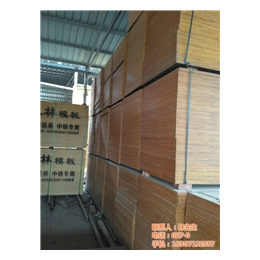 建筑木材|福泰木材|硚口建筑木材