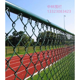 河北省运动场围网墨绿色包塑围网安全美观性好缩略图