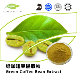 绿咖啡豆提取物 绿原酸粉末 厂家*缩略图