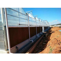 玻璃温室大棚服务中心|楚宏农业|西双版纳玻璃温室大棚