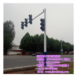道路信号灯生产|【信号灯】(在线咨询)|道路信号灯