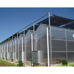 太原益兴诚钢构工程(图),连体阳光板温室,运城阳光板温室