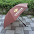 礼品雨伞订制,广州牡丹王伞业,雨伞订制缩略图1