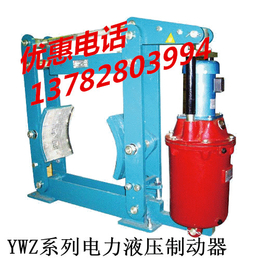 唐山电厂*制动器YWZ-200-25电力液压鼓式制动器