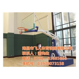 移动式篮球架厂家*、飞*育设施(在线咨询)、萍乡篮球架