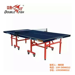 0310 彩虹 乒乓球台,乒乓球台,大宇体育器材(查看)