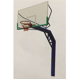篮球架厂家|奥拓体育器材|益阳篮球架