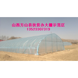 *之后蔬菜温室大棚种植补贴种植安阳丰源农业
