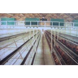 禽翔畜牧(图),自动化鸡笼设备供应,鸡笼设备