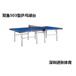 ****双鱼503蓝色加强型折叠乒乓球桌 工厂直营