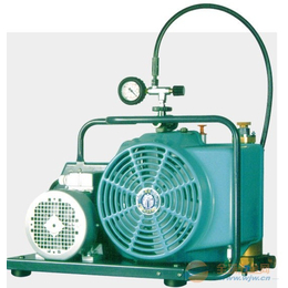JUNIOR II-E-H空气压缩机 宝华三相电流充气泵原装缩略图