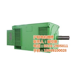 高压电机维修生产_沪联电机维修(在线咨询)_莱芜高压电机维修