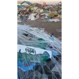 顺鸿资源回收(图)|废塑胶回收哪家好|深圳废塑胶