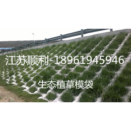 【襄樊模袋】,生态植草模袋,江苏顺利水下工程有限公司