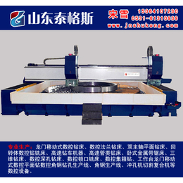 泰安钻床、数控龙门式钻床、山东泰格斯(****商家)