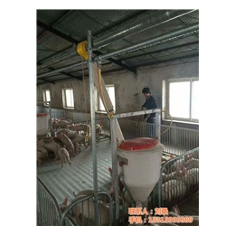 猪舍料线报价|牧鑫养殖设备(在线咨询)|江苏猪舍料线
