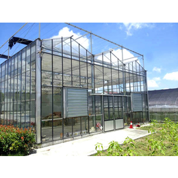 文洛式玻璃温室、合肥建野大棚、合肥玻璃温室