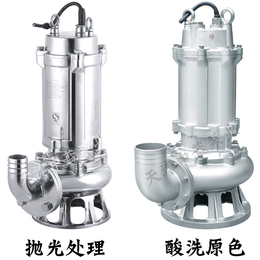不锈钢潜水泵和耐腐蚀潜水泵厂家*
