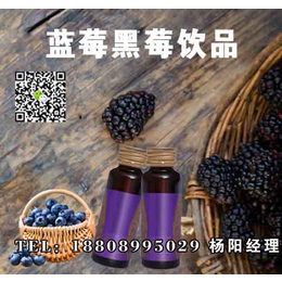 食品研发黑莓饮品ODM代工厂