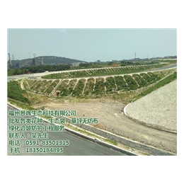 福州景晖生态工程、福州园林绿化苗木价格、绿化