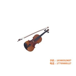 F5音乐体验馆(图)_儿童小提琴培训班_濮院小提琴培训缩略图