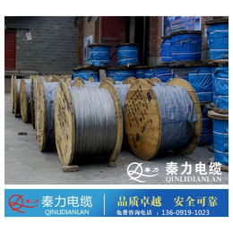 陕西电力电缆厂(图),镀锌钢绞线,商洛钢绞线