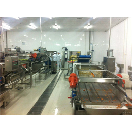 净菜加工生产线设备、汇尔宝、江苏净菜加工生产线