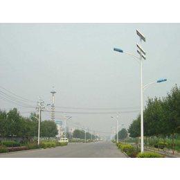 山东潍坊太阳能路灯厂家长期供应6米30w太阳能路灯