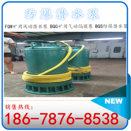 BQS系列矿用隔爆型潜水排沙排污电泵不锈钢污水泵 潜水排污泵