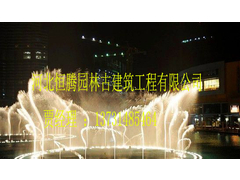 唐县音乐喷泉 (2).jpg
