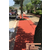 沧晟陶瓷颗粒厂家(多图),彩色自行车道,泉州自行车道缩略图1