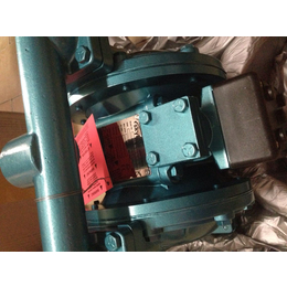 斯凯力气动隔膜泵LS25SS-AA-NE-PP-NE-00