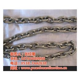 黑龙江不锈钢链条,鑫洲机械(图),矿用不锈钢链条