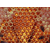 山东蜂蜜批发商|【宝鸭塘】|山东蜂蜜缩略图1