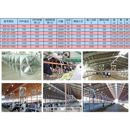 鸡舍风机_新希望机械设备(在线咨询)_黑龙江风机