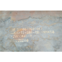 国产nm450*板品牌价格|nm450*板|民心钢铁