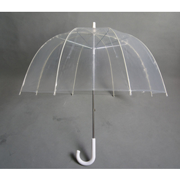 23寸8K透明雨伞阿波罗伞直杆伞POE材质雨伞