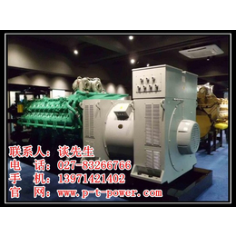 武汉发电机组出租(图)、大型发电设备厂家、大型发电设备
