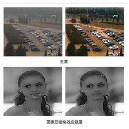 济南神博(图)_图像模糊处理系统厂家_北京图像模糊处理系统