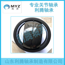 MYZ关节轴承B8-L *关节轴承   利腾个轴承公司