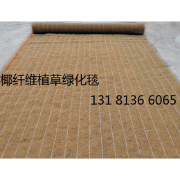 内蒙古*冲生物毯 环保草毯边坡* 植物纤维毯 稻草植被毯