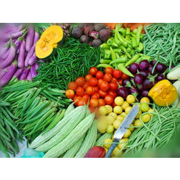 蔬菜配送公司,宏鸿农产品集团,杭州蔬菜配送服务